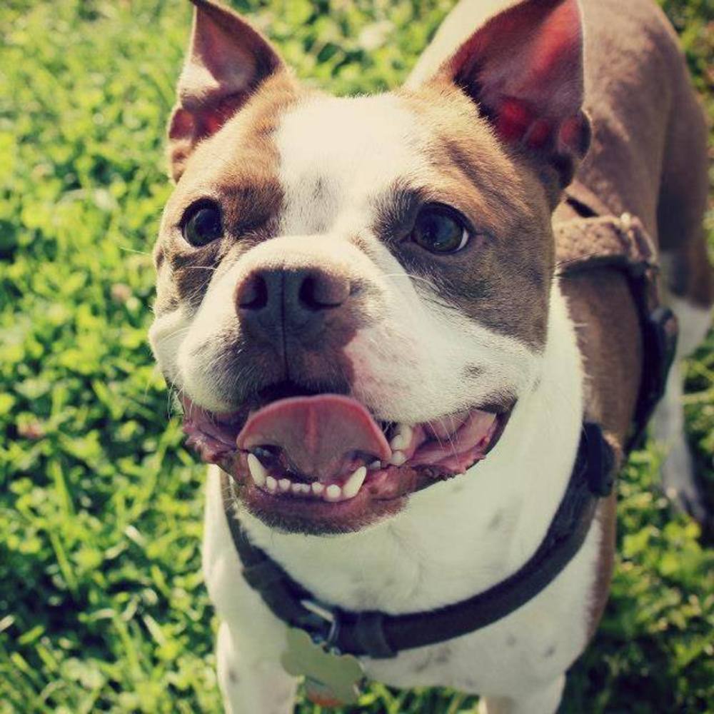 Meet your Posher, Crysi